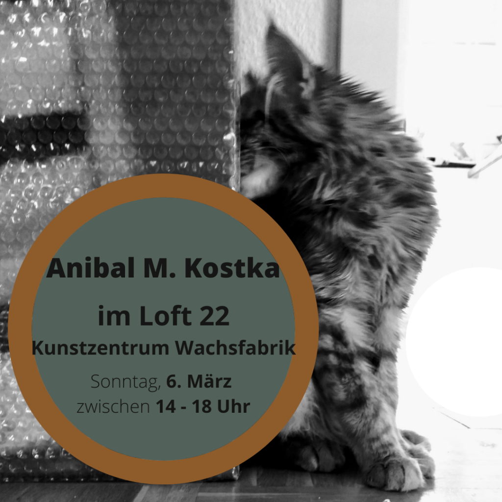 Flyer Einladung Anibal M. Kostka im Loft 22